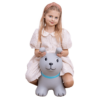 My First JUMPY – Grey Dog