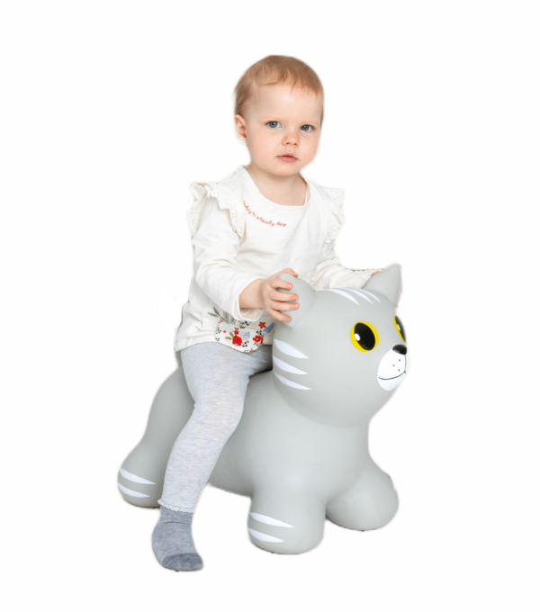 GT69423-Cat-Grey1-2-1920×2176 My First JUMPY – Grey Cat