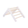 White Ladder House With a Pink Cover
