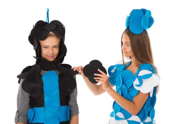 _MG_4909 copy Costume Puzzle - Priscilla the Adventurous Princess