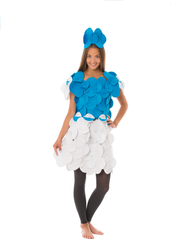 Princess1 Costume Puzzle - Priscilla the Adventurous Princess