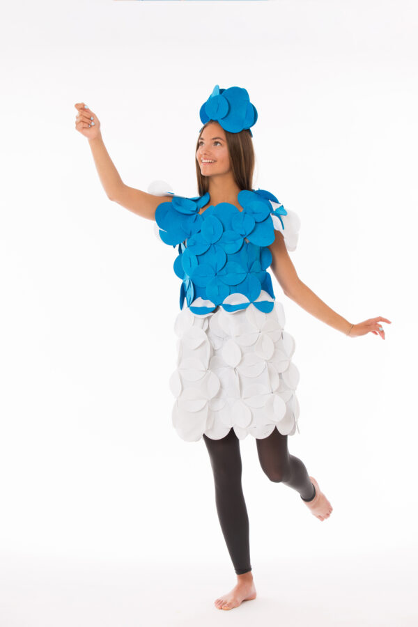 Princess_3 Costume Puzzle - Priscilla the Adventurous Princess
